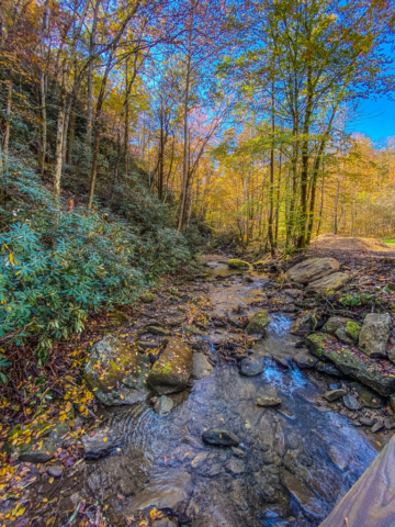 Vacation in Asheville - Enjoy a Fall Getaway at Diamond Falls Preserve